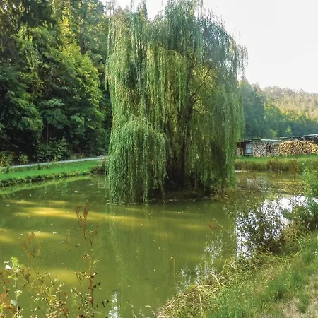 2 Bedroom In Schlitz-rimbach *