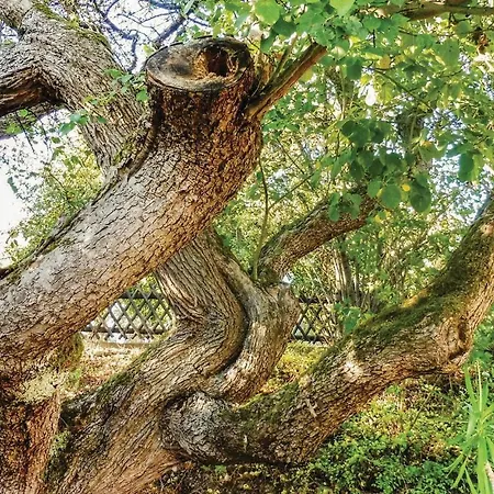 2 Bedroom In Schlitz-rimbach Rimbach (Schlitz)