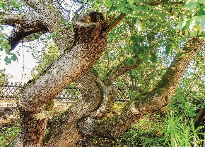 2 Bedroom In Schlitz-rimbach Rimbach (Schlitz)